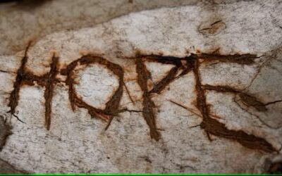A Caregiver’s Story…