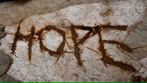 A Caregiver’s Story…